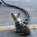 Load image into Gallery viewer, ChainWalk Leash