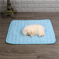 Load image into Gallery viewer, Cooling Pad for Pets