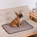 Load image into Gallery viewer, Cooling Pad for Pets