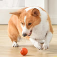 Load image into Gallery viewer, Interactive Jumping Ball for Dogs