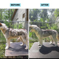 Load image into Gallery viewer, Uproot Pet Grooming Kit - Cordless