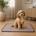 Load image into Gallery viewer, Cooling Pad for Pets
