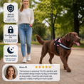 Load image into Gallery viewer, Reflective Adjustable Dog Harness with 3 Leash Clips – Padded for Walking & Training