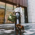 Load image into Gallery viewer, Comfortable Dog Car Seat – TravelMate