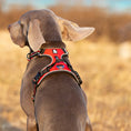 Load image into Gallery viewer, Truelove Pet Reflective Nylon Dog Harness No Pull Adjustable Medium Large Naughty Dog Vest Safety Vehicular Lead Walking Running