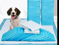 Load image into Gallery viewer, Pet Training Pads - DryPaws Mats