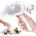Load image into Gallery viewer, Premium pet brush with steam function