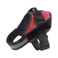 Load image into Gallery viewer, Reflective Adjustable Dog Harness with 3 Leash Clips – Padded for Walking & Training