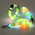 Load image into Gallery viewer, LED Dog Collar with Leash – NightBright