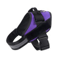 Load image into Gallery viewer, Reflective Adjustable Dog Harness with 3 Leash Clips – Padded for Walking & Training