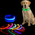 Load image into Gallery viewer, GlowCollar LED – BrightPaws
