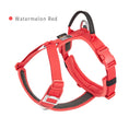 Load image into Gallery viewer, SMALL COMBINATION Pet Harness No Pull Nylon Reflective Dog Harness Adjustable Comfortable Control Walking Running accessories