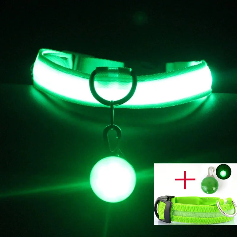 USB Charging Glowing Dog Collar With battery