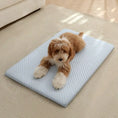 Load image into Gallery viewer, 1pc Sponge Cooling Cat Bed, Thick Padding Comfortable Cool Breathable Cat Nest, Non-Slip And Washable Cooling Small Dog Bed, Suitable For All Seasons