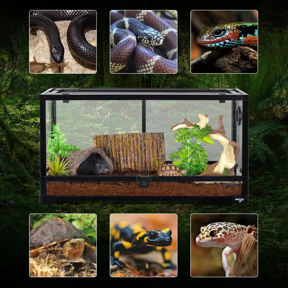 Large Reptile Tank 25 Gallon, 360°ull Vision Glass Reptile Terrarium with Top Mesh Lid or Beaded Dragon Lizard Gecko Snake Hermi