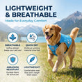 Load image into Gallery viewer, Pet Dog Cooling Vest Harness Cooler Jacket For Walking Dog Outdoor Camping Hunting Training Refrigerator Cooling Source For Dogs