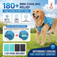 Load image into Gallery viewer, Pet Dog Cooling Vest Harness Cooler Jacket For Walking Dog Outdoor Camping Hunting Training Refrigerator Cooling Source For Dogs