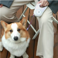 Load image into Gallery viewer, GlowLeash Walk