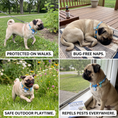 Load image into Gallery viewer, Cute Collar with Insect Repellent for Dogs