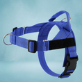 Load image into Gallery viewer, Personalized Reflective No-Pull Dog Harness with Custom Name Patch