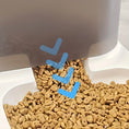 Load image into Gallery viewer, Automatic Pet Feeding & Watering System – FeedMate Duo