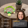 Load image into Gallery viewer, Cute Collar with Insect Repellent for Dogs