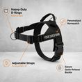 Load image into Gallery viewer, Personalized Reflective No-Pull Dog Harness with Custom Name Patch