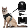 Load image into Gallery viewer, Explorer Harness with Leash