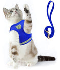 Load image into Gallery viewer, Explorer Harness with Leash