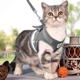 Load image into Gallery viewer, Explorer Harness with Leash