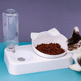 Load image into Gallery viewer, Dual-Purpose Tilted Pet Bowl