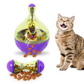 Load image into Gallery viewer, Pet Cat Fun Bowl Feeding Toy