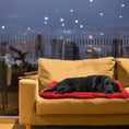 Load image into Gallery viewer, Waterproof Non-Slip Pet Bed Cushion