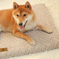 Load image into Gallery viewer, ComfyPaws Dog Mat