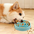 Load image into Gallery viewer, Slow Feed Pet Bowl