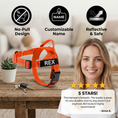 Load image into Gallery viewer, Personalized Reflective No-Pull Dog Harness with Custom Name Patch
