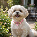 Load image into Gallery viewer, Cute Collar with Insect Repellent for Dogs