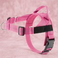 Load image into Gallery viewer, Personalized Reflective No-Pull Dog Harness with Custom Name Patch
