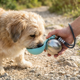 Load image into Gallery viewer, 2-in-1 Dog Travel Water Bottle – Leakproof Stainless Steel Bottle with Silicone Bowl