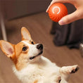 Load image into Gallery viewer, Interactive Jumping Ball for Dogs