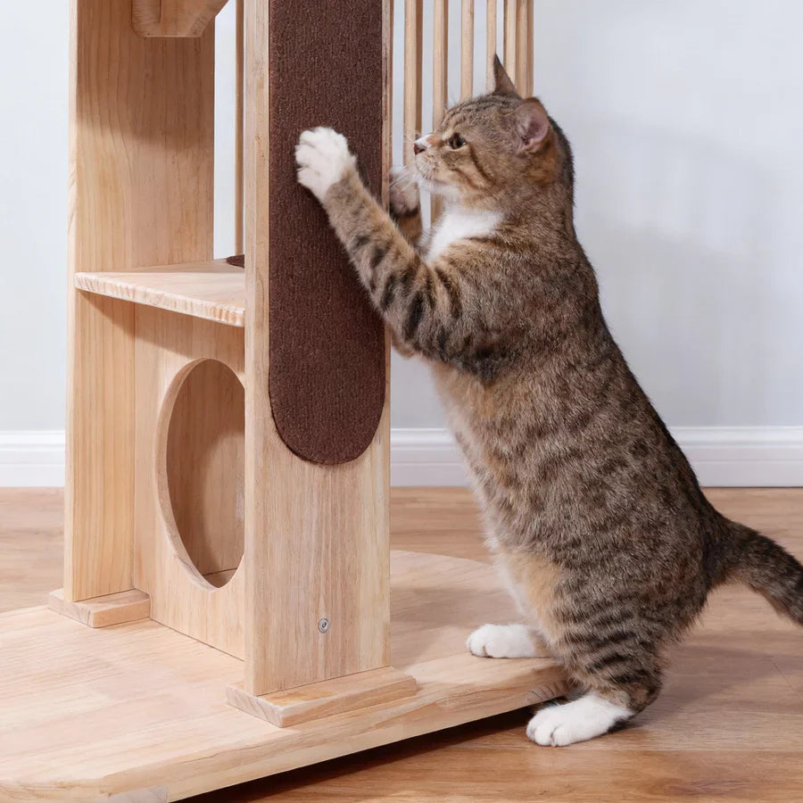 Cat Trees
