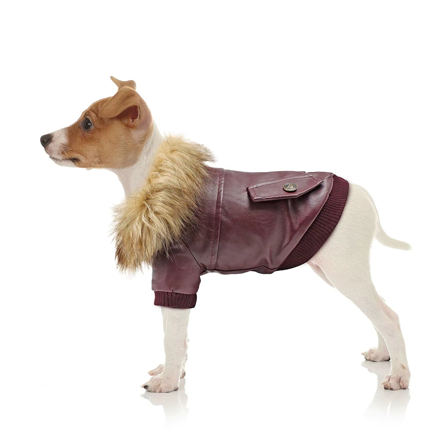 Pet Coats