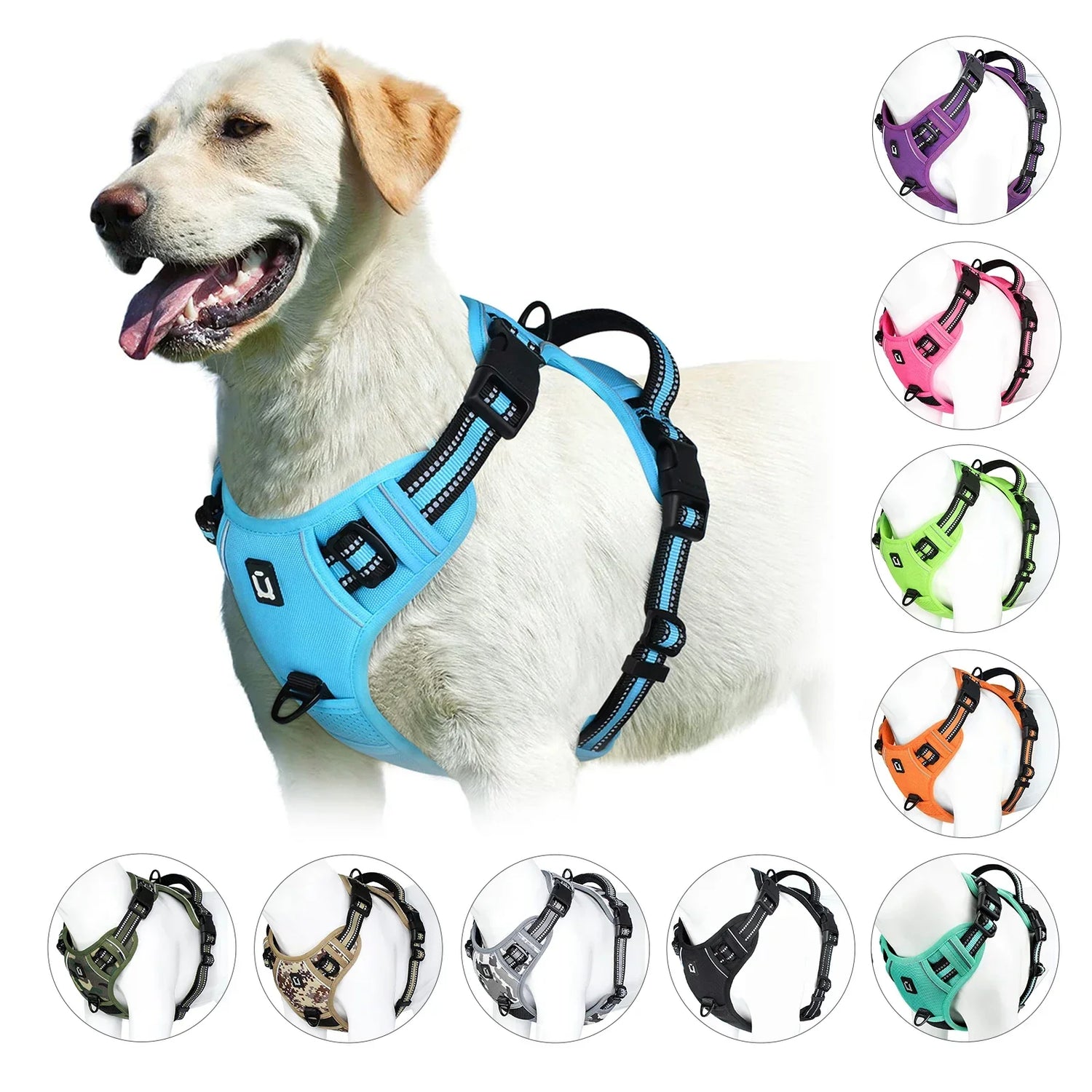 Harnesses