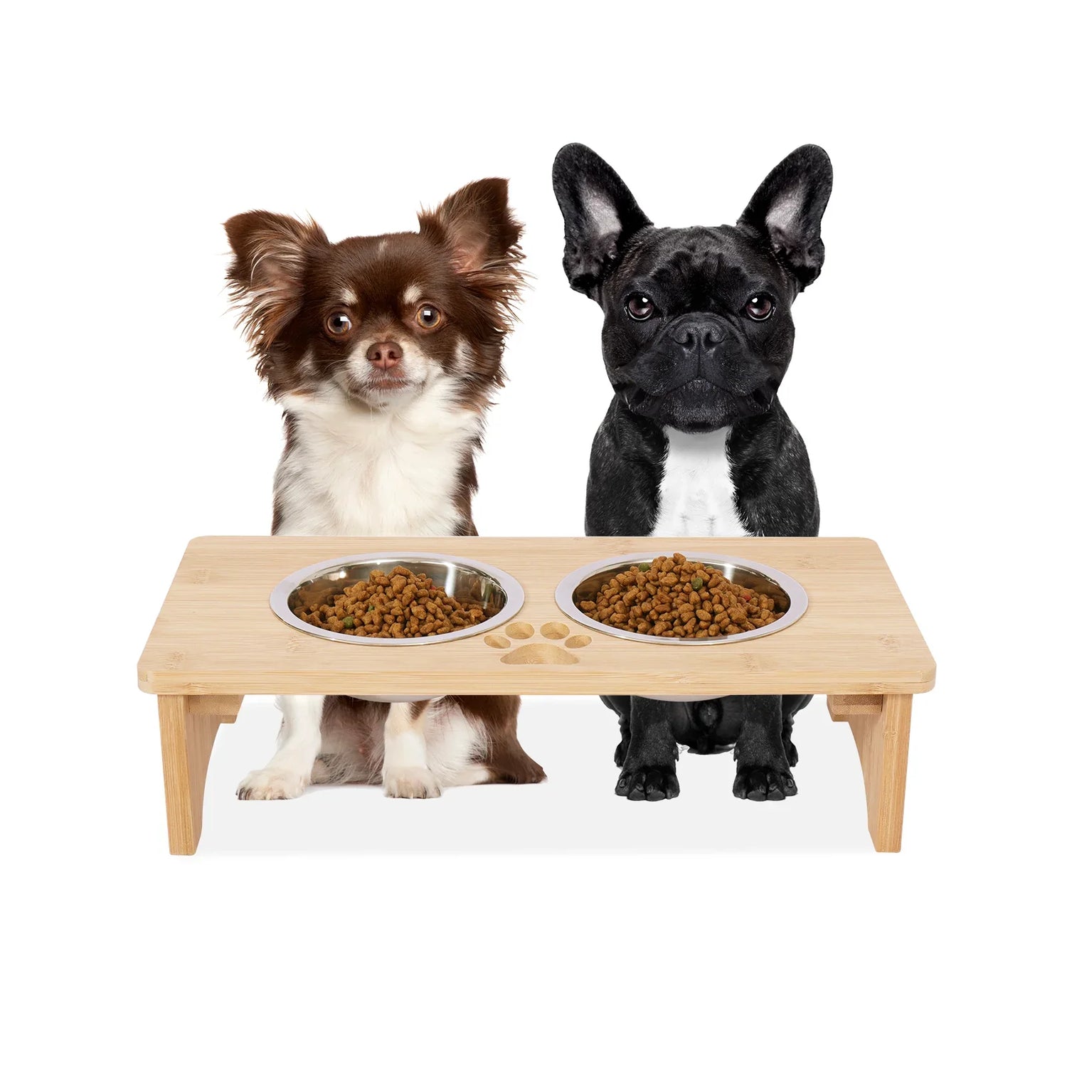 Pet Bowls & Feeders