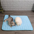 Load image into Gallery viewer, Cooling Pad for Pets
