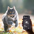 Load image into Gallery viewer, Cat Collar with Safety Closure
