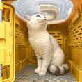 Load image into Gallery viewer, Foldable Pet Transport Box

