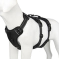 Load image into Gallery viewer, Reflective Anti-Pull Dog Harness – GripGuard Comfort
