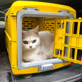 Load image into Gallery viewer, Foldable Pet Transport Box
