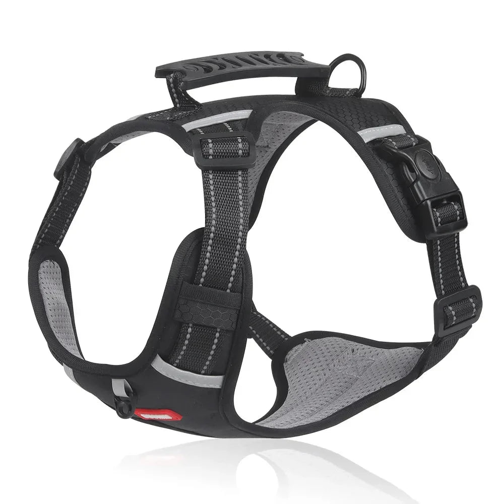 NoPull Dog Harness – WalkEase